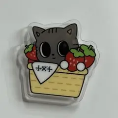 TXT プルバトゥ ダゴニャン　プルバトゥ 福岡　ご当地アクリルバッジ④