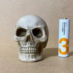 未使用 リアル系 スカル ヘッド 置物 ミニオブジェ 頭蓋骨 髑髏 ドクロ 新品のサムネイル