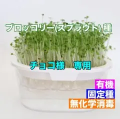 チョコ様 リクエスト 3点 おまとめ商品