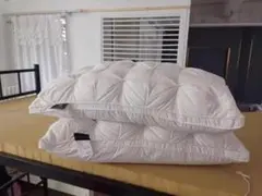 Item thumbnail for item 8d58397f-4480-4cce-83e0-28a866f3a389