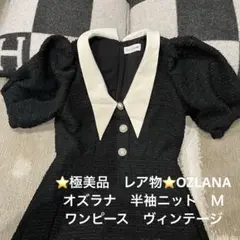 ⭐️極美品　レア物⭐️OZLANA オズラナ　半袖ニット　ワンピース　ヴィンテージ