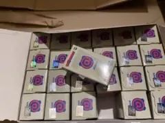 Item thumbnail for item ea292b49-2cb7-4a82-86e8-3b4cdb17408e