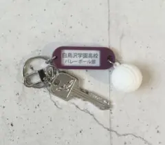 バレーボール キャラクターグッズ