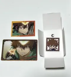 家庭教師ヒットマンREBORN! セリア　沢田綱吉