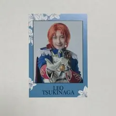 あんさんぶるスターズ!! Knights TRIP 特典カード 朱桜司 月永レオ