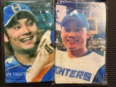 北海道日本ハムファイターズ 伊藤大海 タオル2枚セット