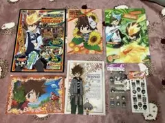 家庭教師ヒットマン　REBORN 沢田綱吉　六道骸　他