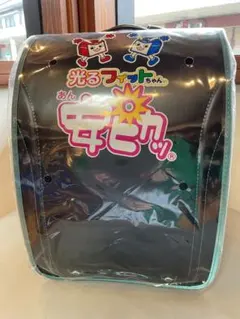 Item thumbnail for item 5f17b246-fb01-4282-9246-51294ab37184