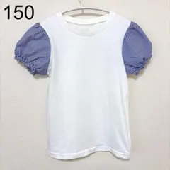 白/青ストライプ パフスリーブ Tシャツ 150