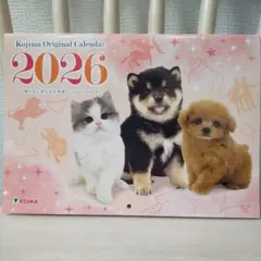 Item thumbnail for item 88df2ceb-1d6e-4876-891c-229c5ed54e49