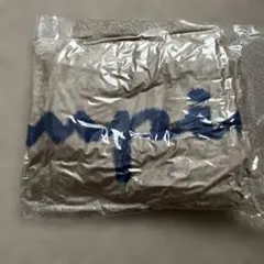 Champion フリースブランケット