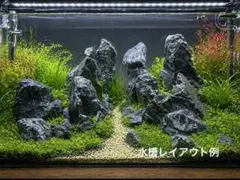 2026年最新】アクアリウム親石の人気アイテム - メルカリ