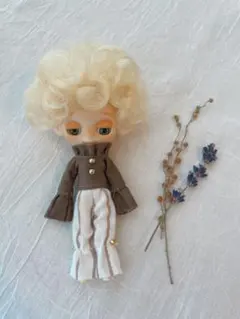 2025年最新】プチアイシードールの人気アイテム - メルカリ