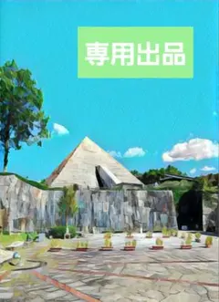 【専用出品】