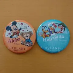 非売品【缶バッジ2点】ハワイ アウラニ ディズニーリゾート 宿泊者ノベルティ