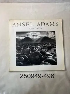 54146113_3