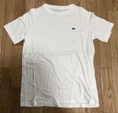 LACOSTE ラコステ Tシャツ ホワイト