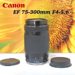 2026年最新】Canon LENS EF 75-300mm 1:4-5.6の人気アイテム - メルカリ