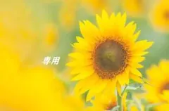 ぽちゃこ様専用！