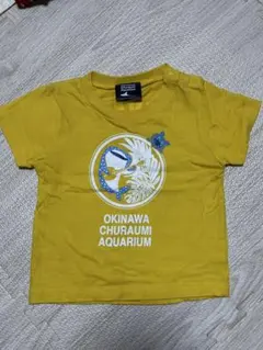 Item thumbnail for item c0033a94-74ce-4a55-a72a-5a8d406d5f87