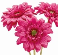 rose様 リクエスト 2点 まとめ商品