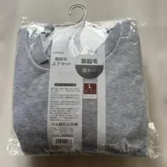 Item thumbnail for item a4aac727-271d-4563-8ab8-85e42c149ecc