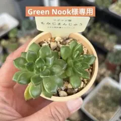 Green Nook様 リクエスト 2点 まとめ商品