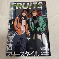 FRUiTS vol.9090 限定 雑誌　平成フラミンゴ