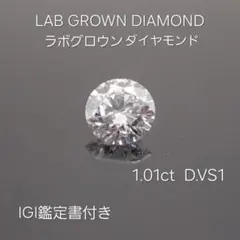 2026年最新】ダイヤモンドルース 1.0の人気アイテム - メルカリ