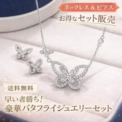 ✨【ネックレス＆ピアスセット】バタフライ 蝶 CZ 上品 新品 お得セット✨