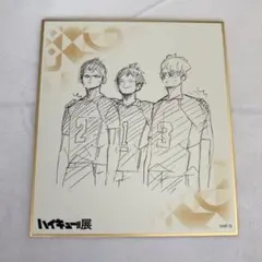 ハイキュー!! 色紙