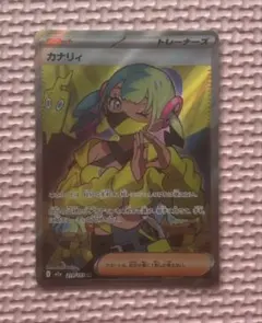 n*m様 カナリィSR