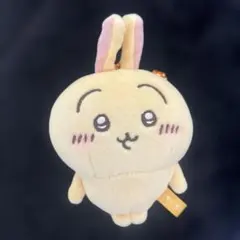 み*ゃ様 ちいかわ うさぎ