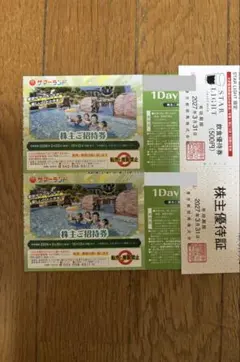東京サマーランド株主優待券2枚　東京都競馬株主飲食優待券1枚のサムネイル