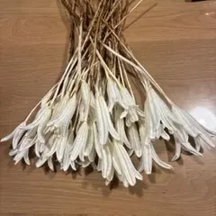 Item thumbnail for item 6a62a3f9-8431-486a-b4b9-4e28e77f3a9c