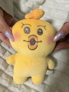 んぽちゃむ きみまろ ぬいぐるみ