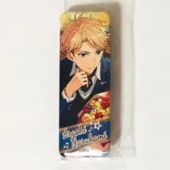 新品★あんスタ★Knights【鳴上嵐】ロング缶バッジ★ロングカンバッジ