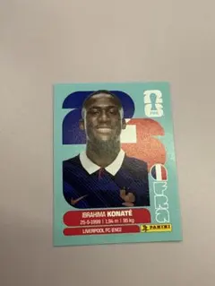 Udinese Calcio WCCF ウディネーゼ エンブレム PANINI - メルカリ