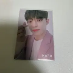 seventeen JUN HARU 25 118 ハルコン tour - メルカリ
