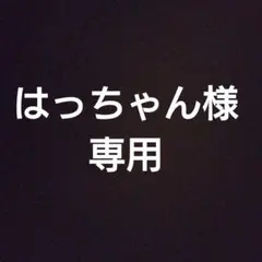 専用出品