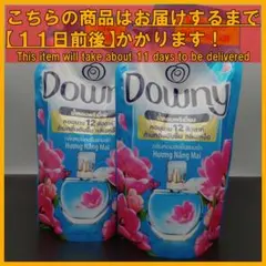 ベトナムダウニー サンライズフレッシュ 詰替え用 濃縮タイプ 800mL×2袋