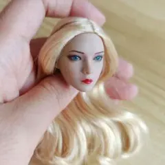 B36 1/6 フィギュア用 ヘッド 植毛タイプ アクセサリー 交換用 白肌