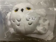 ハリーポッター　ヘドウィグ　タリーズスリーブ未開封
