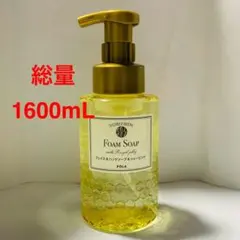 POLA ポーラシャワーブレイクプラス フォームソープ洗顔手洗い髭剃り兼用10L POLA ポーラ シャワーブレイク プラス フォームソープ 洗顔