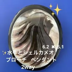【ヴィンテージ 】水牛と、シェルカメオブローチ ペンダント トップの2way