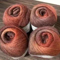 秋色グラデーションウールヤーン4玉