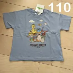 新品 綿100% セサミストリート 半袖 Tシャツ 110のサムネイル
