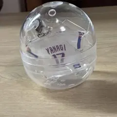 中日ドラゴンズ ユニホーム型アクリルチャーム 柳裕也