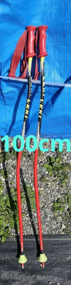 2025年最新】leki ストックの人気アイテム - メルカリ