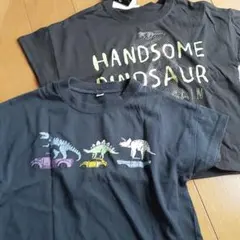 【新品タグ付き】恐竜Tシャツ２枚セット